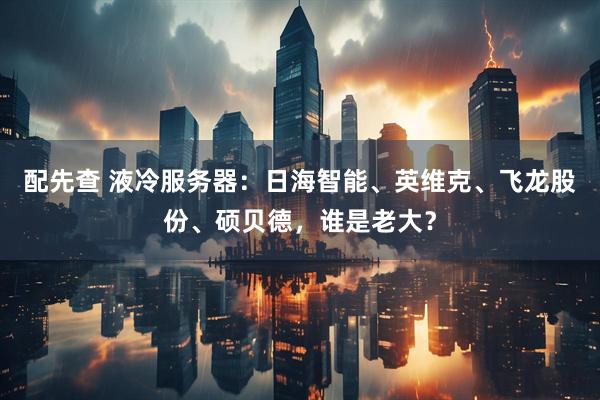 配先查 液冷服务器：日海智能、英维克、飞龙股份、硕贝德，谁是老大？
