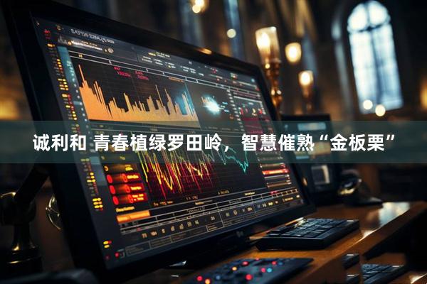 诚利和 青春植绿罗田岭，智慧催熟“金板栗”